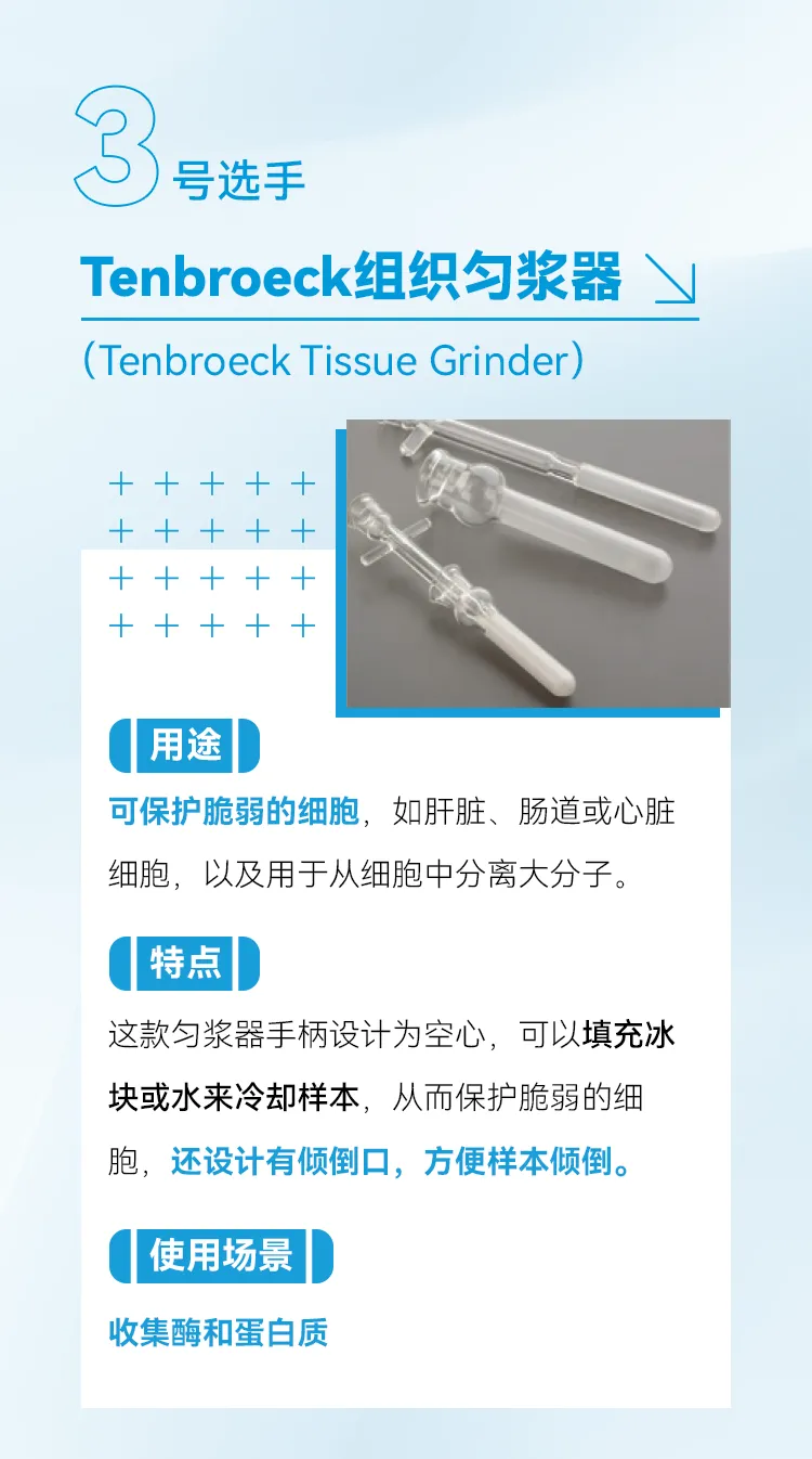 3.Tenbroeck组织匀浆器（Tenbroeck Tissue Grinder）可保护脆弱的细胞，如肝脏、肠道或心脏细胞，以及用于从细胞中分离大分子。这款匀浆器手柄设计为空心，可以填充冰块或水来冷却样本，从而保护脆弱的细胞，还设计有倾倒口，方便样本倾倒。收集酶和蛋白质。