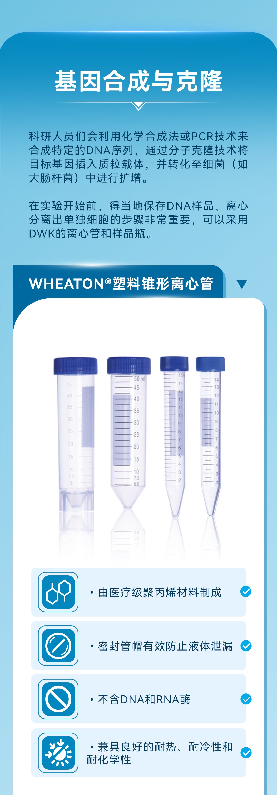 基因合成与克隆 科研人员们会利用化学合成法或PCR技术来合成特定的DNA序列，通过分子克隆技术将目标基因插入质粒载体，并转化至细菌（如大肠杆菌）中进行扩增。